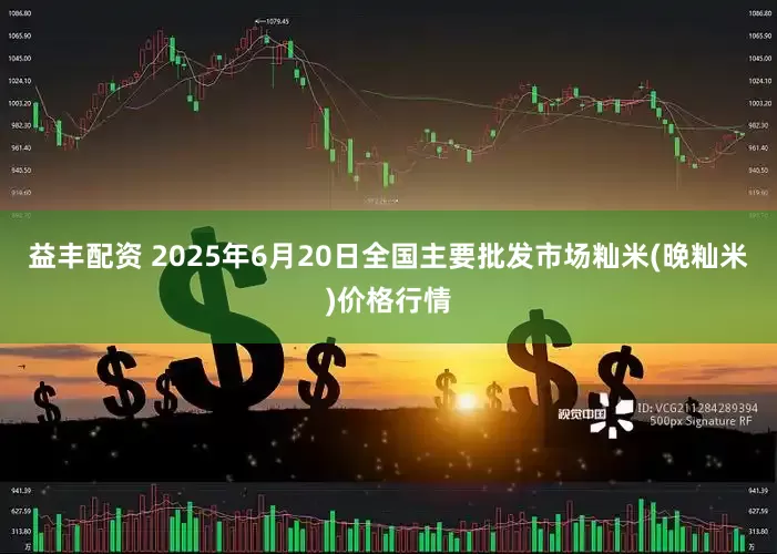 益丰配资 2025年6月20日全国主要批发市场籼米(晚籼米)价格行情