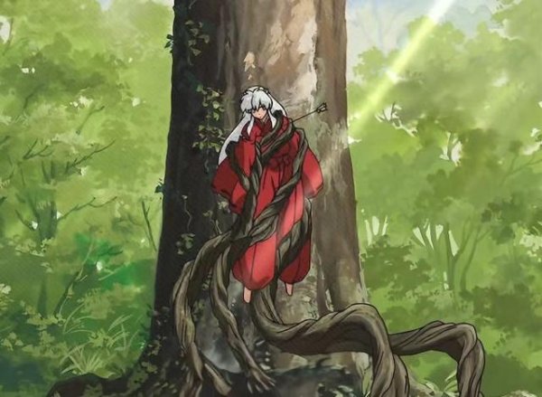 优配网 在犬夜叉的心里也许戈薇是另一个桔梗吧