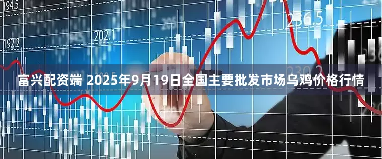富兴配资端 2025年9月19日全国主要批发市场乌鸡价格行情